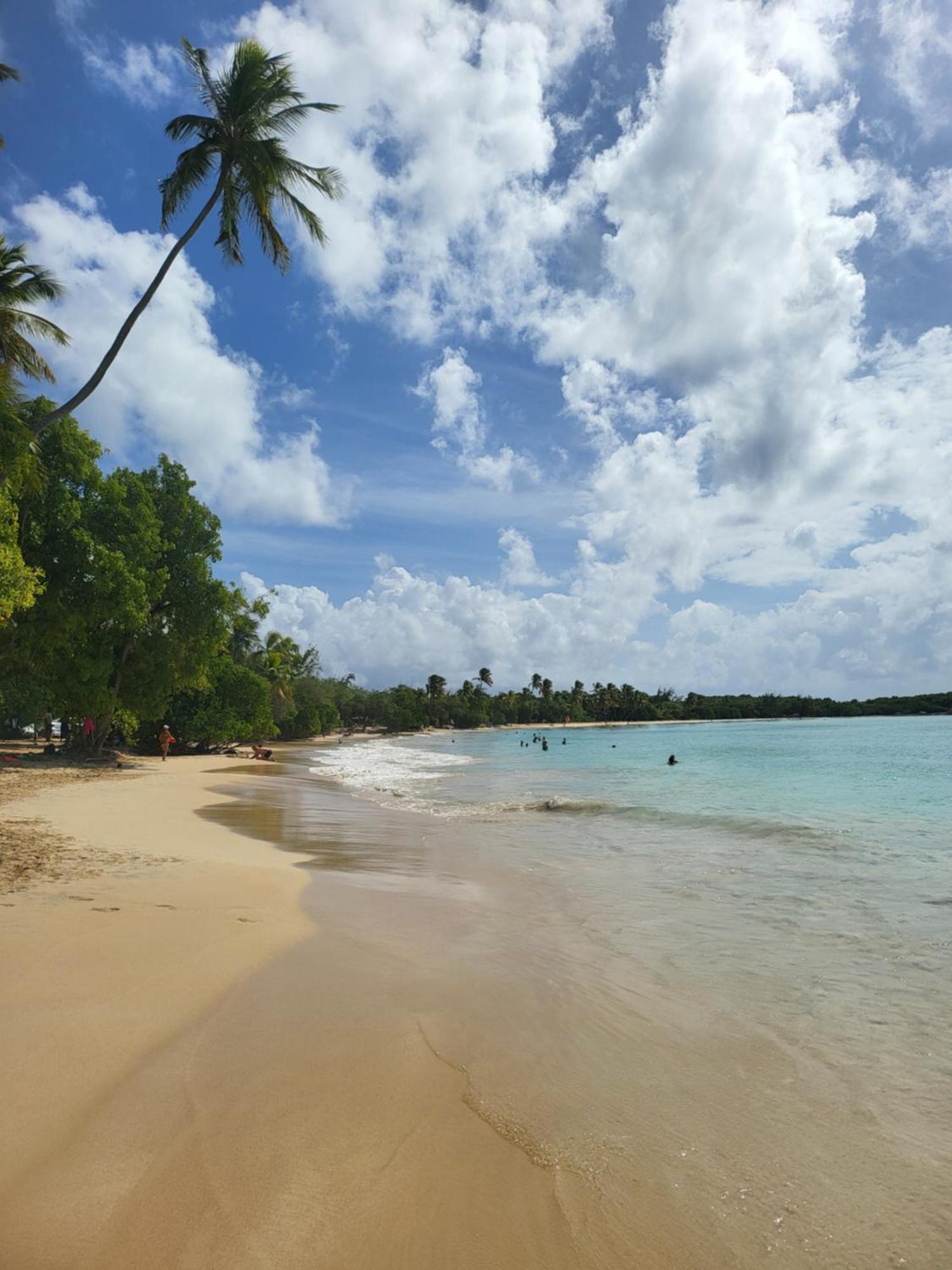 Sud Madinina - Sainte Anne Apartman Kültér fotó